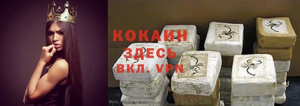 тгк Арсеньев