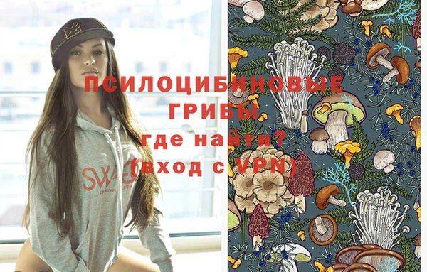 ешки Армянск
