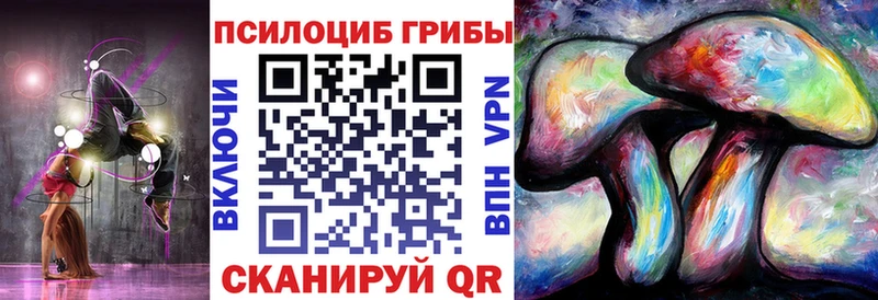 даркнет сайт Дегтярск Псилоцибиновые грибы прущие грибы